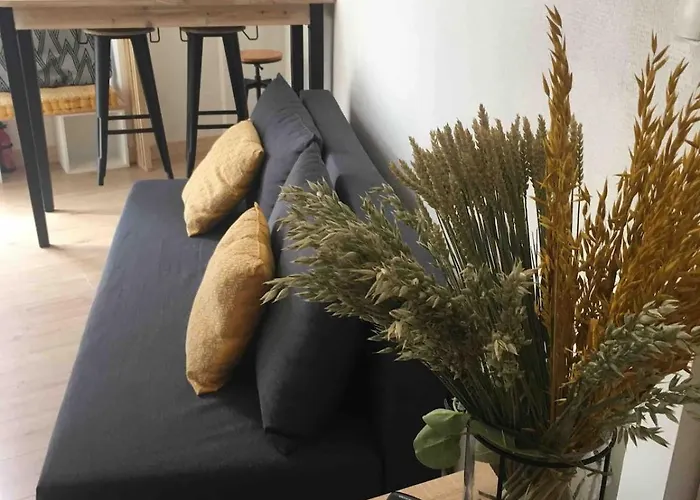 Apartment 1 Bis Saint Alyre